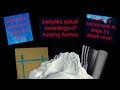 The Everywhere At The End Of Time Iceberg Explained