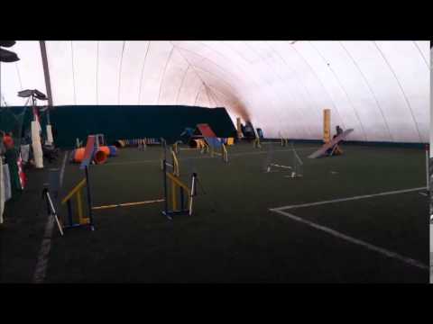 Roland & Mee, Mala Nedelja, 08.11.2014