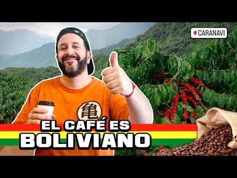 ¿De VERDAD hay CAFÉ en Bolivia? | Visita a CARANAVI, la CIUDAD de las NUBES