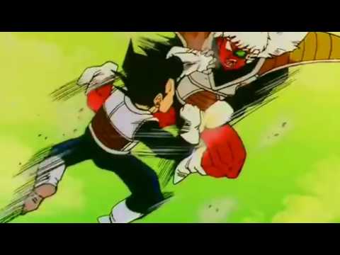 Vegeta Book