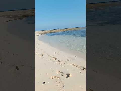 YouTube Island Star Safaga The Red Sea ♥