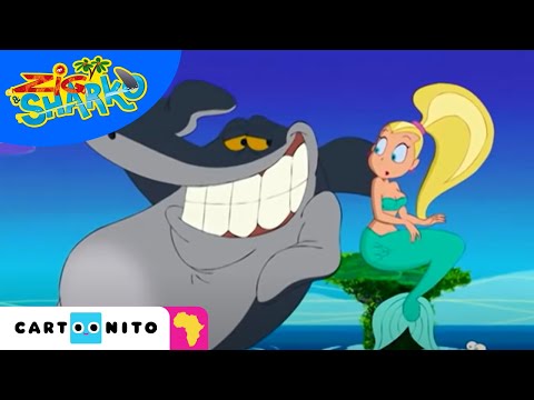Zig & Sharko | Bermuda Love Triangle | Cartoonito Africa