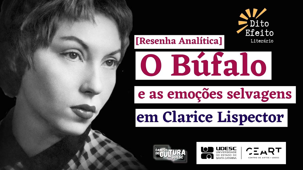 [Resenha analítica] O Búfalo - Clarice Lispector e as emoções selvagens.