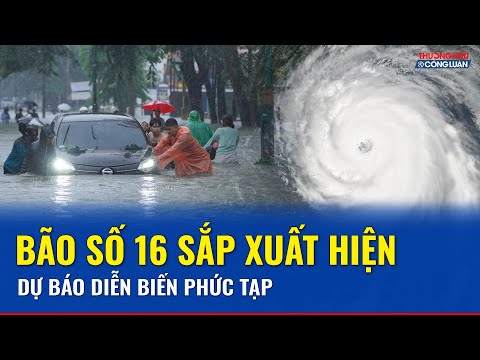 Biển Đông khả năng có cơn bão số 16, dự báo diễn biến phức tạp | THCL