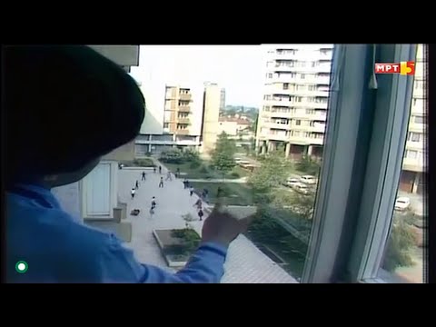 Дрвена љубов (ПРВИТЕ ЦУТОВИ)1981