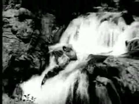 Or Aayiram Parvayile Songs by Vallavanukku Vallavan tamil video songs,download, video, song, mp3, free