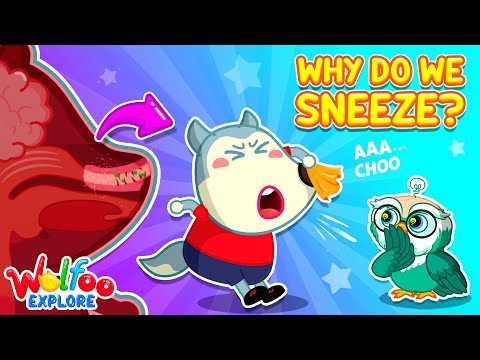 Achoo!🤧 Why Do We Sneeze? 🔍 Wolfoo Explore - Human Body | Educational Videos for Kids