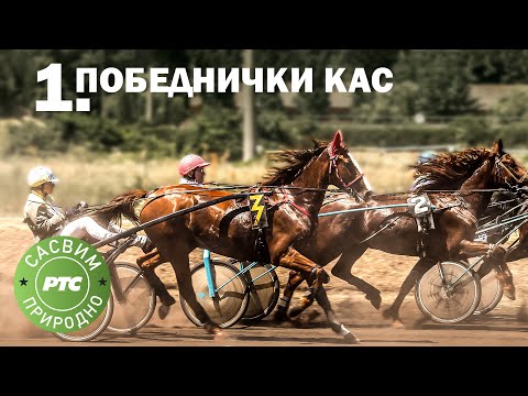 Sasvim prirodno: Pobednički kas, prvi deo (Jovan Memedović)