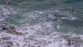 André Rieu ~ Un Amour D'été A Summer Love