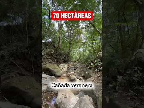 🍃(SE VENDE)🍃ESTÁ FINCA🍃Información al WhatsApp: (+57) 310 355 8414🍃
