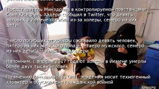 В Йемене от холеры погибли девять человек