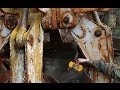 the highly radioactive Chernobyl graphite crane claw and hot particles