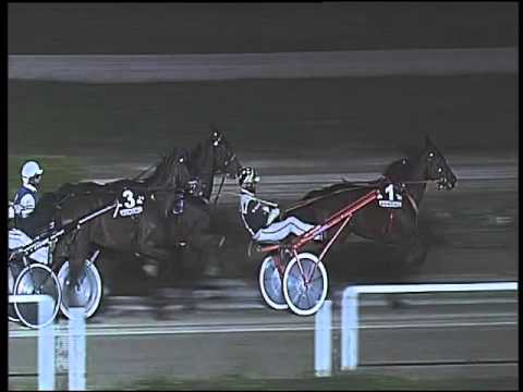 Trotto 14/01/2016 - 7° corsa