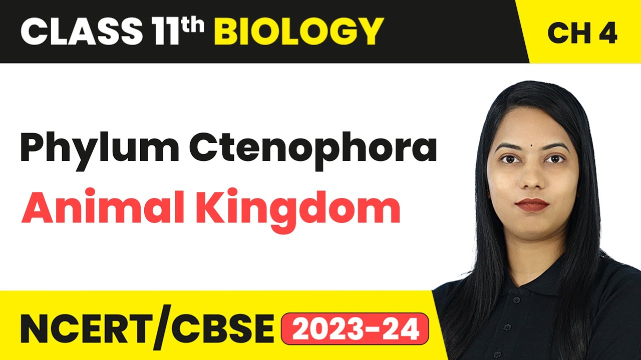 Phylum Ctenophora - Animal Kingdom | Class 11 Biology Chapter 4 | CBSE 2024-25