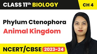 Phylum Ctenophora - Animal Kingdom | Class 11 Biology Chapter 4 | CBSE 2024-25