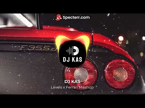 Levels X Ferrari Mashup | DJ KAS feat. Avicii & James Hype