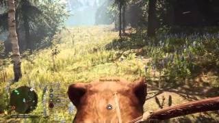 Far Cry Primal - Where To Find South Maple and Rare South Maple Location