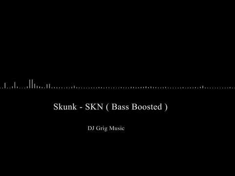 Skunk - SKN ( Bass Boosted )