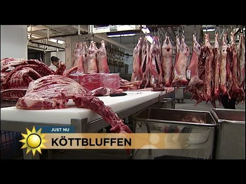 Stor köttbluffskandal: "Du kan ha blivit lurad utan att veta om det" - Nyhetsmorgon (TV4)