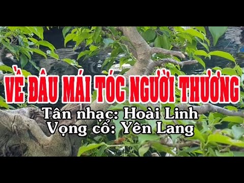 Karaoke tân cổ VỀ ĐÂU MÁI TÓC NGƯỜI THƯƠNG - SONG CA