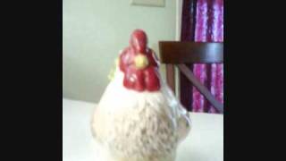 SALT CHICKEN