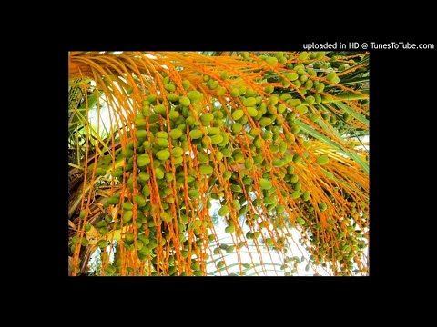 Surah Al-Muminun - Tafseer 51-56 English