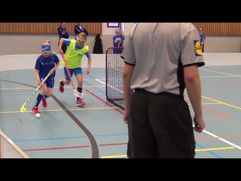 Nibacos Sininen - Blue Fox 08