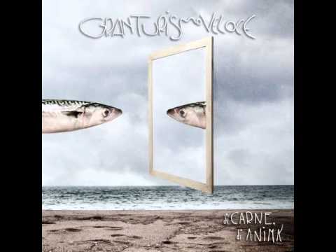 Gran Turismo Veloce - Misera Venere