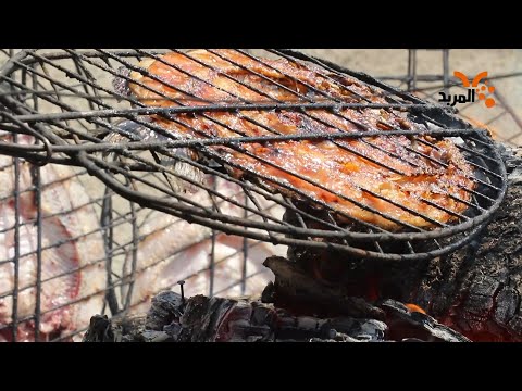 شاهد بالفيديو.. على نسق المسكوف البغدادي شوي السمك بحطب نخيل البصرة #المربد