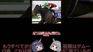有馬記念は銀行レース　この馬以外勝ちはない　　　　と思う #競馬#有馬記念