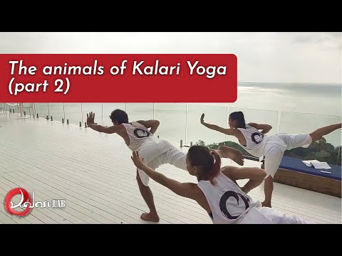 Posture Clinic: The animals of Kalari Yoga (part 2) - KalariLab