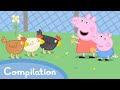 Pretty Polly The Parrot Peppa Pig Official Full Episodes