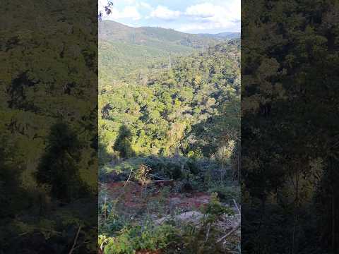 VALE DE MINAS GERAIS | BICA DE ÁGUA NO MORRO, QUASE VIRANDO PARA O CRUZEIRO DO ARICANGA, GUANHÃES MG