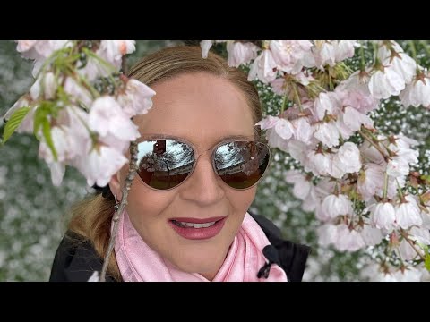 Сакура, Ванкувер, Канада 🇨🇦. Sakura Vancouver Canada