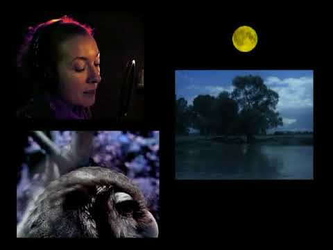 Video thumbnail for Nocturnal Animals