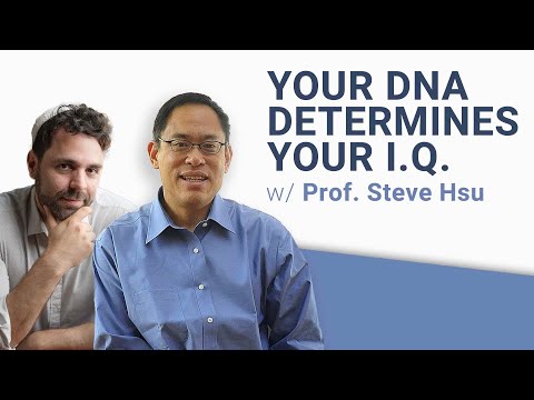 IVF Babies, SuperIntelligence, and Moral problems with IQ Research - Prof Steve Hsu