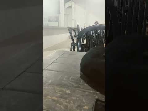 29 de outubro de 2025