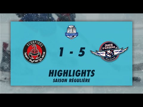 Scorpions de Mulhouse 1-5 Ducs d'Angers - Highlights - Synerglace Ligue Magnus 2022/23