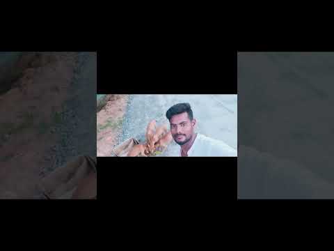 bezubaan janwar ko kuch khila diya karo Qki unhe  pata nahi hai ki khane ke liye paisa lagta hai....