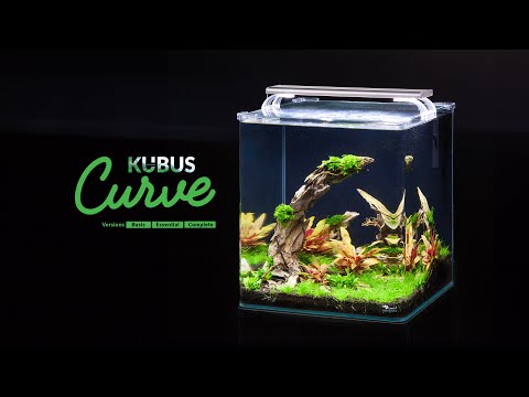 Watch Video on YouTube