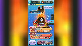 【ぷにぷに】空亡引けるか？最大20連！！