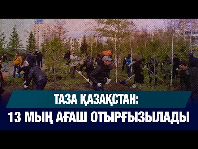 Таза Қазақстан: 13 мың ағаш отырғызылады