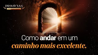 Primícias: Primeiro o Reino | Segunda-feira, 25/11 às 7h!