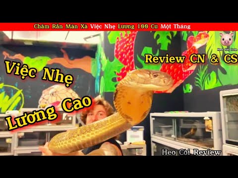 Chăm Rắn Mãn Xà Việc Nhẹ Nhàng Lương 100 Củ Mà Chả Ai Muốn Làm || Review Con Người Và Cuộc Sống