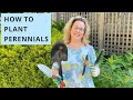 How to Plant Perennials the Easy Way!