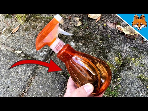 Mit diesem WUNDERMITTEL entfernst du Moos ganz einfach 💥