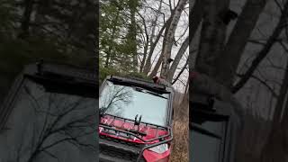 CHAGA HUNTING - Eric cuts down the BIG ONE!  Thanks Erik and Chanda!