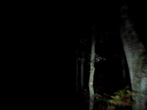 Mountain Biking at night
