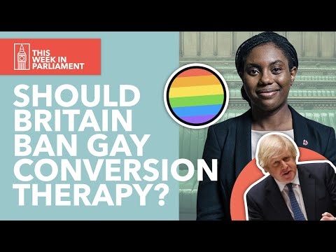 Gay Conversion Therapy & The Irish Border: This Week's Controversies in Parliament - TLDR News
