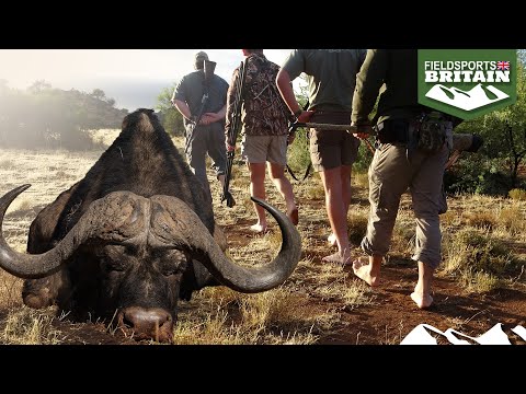 Barefoot buffalo hunt